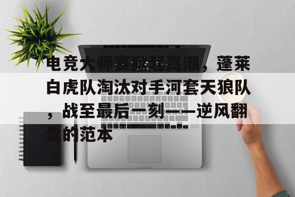 电竞大师赛掀起高潮，蓬莱白虎队淘汰对手河套天狼队，战至最后一刻——逆风翻盘的范本的简单介绍-爱游戏娱乐