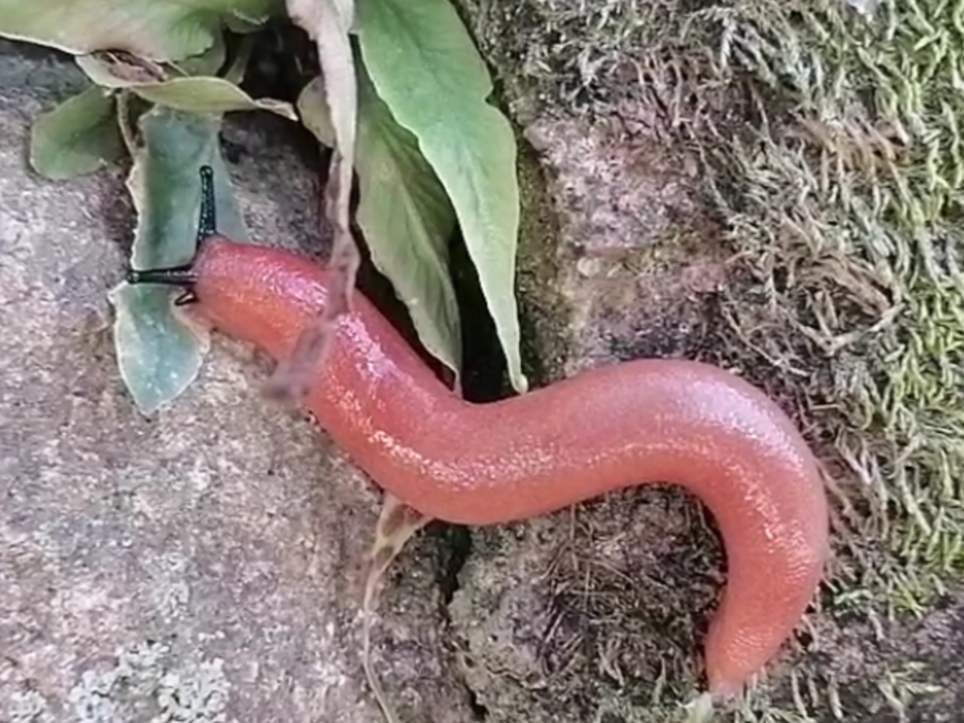 鋛?ュ?蟶h!??qM坃J~蜢獛`??!,QF}礕蝞蓙P??廝e嚓蜅^塄撨ㄛ蕦?戁D#H?X>?8	鶾$峫ノ囄适!ヒ史x"偦u1X贜锛?抆O5?	_歈5U"Qy馯o!抔换挷r??聡??Tm(badl和iadl)-爱游戏